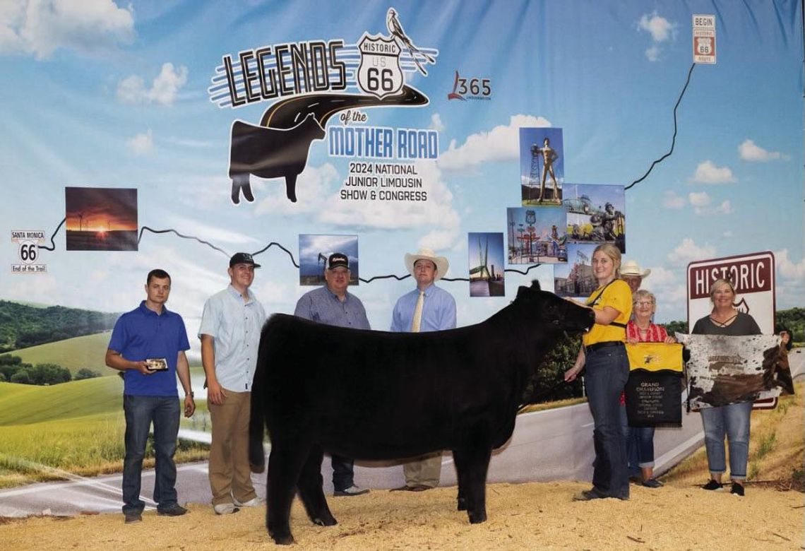 Richardson’s Lola Earns National Champion Bred and Owned Limousin Heifer