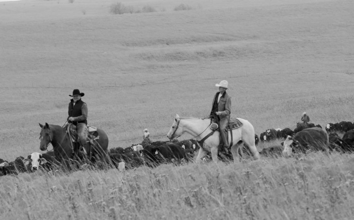 Shop Kansas Farms Spotlights Farmers And Ranchers