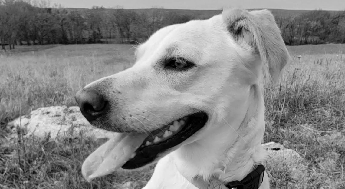 Songs Of The Flint Hills