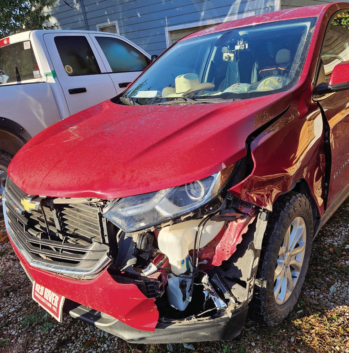 Thankful, Grateful & Blessed