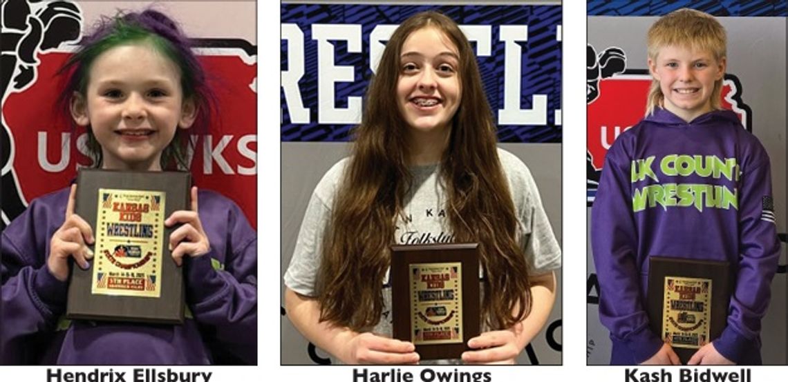 Three Area Wrestlers Claimed State Hardware