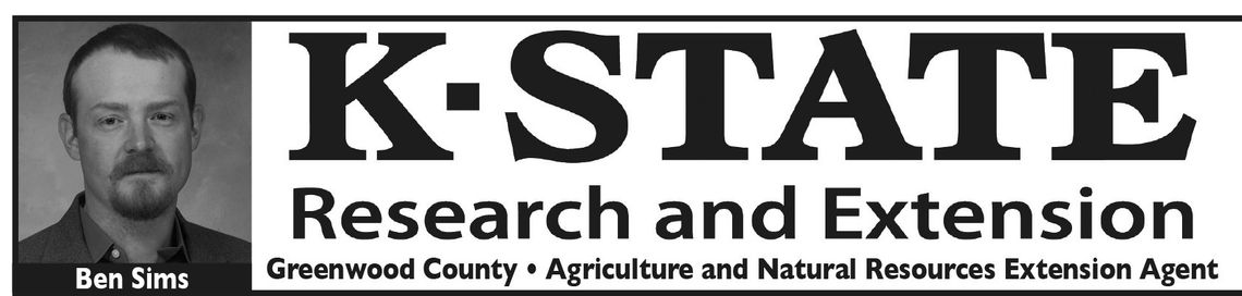 Tis the Season: Nitrate Toxicity & Prussic Acid Poisoning