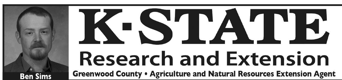 Tomato Harvest: Fungal Diseases