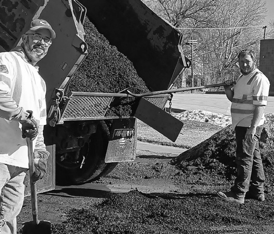 Toronto News - Toronto News -