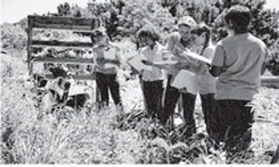 WHAT’S THE DIFFERENCE?