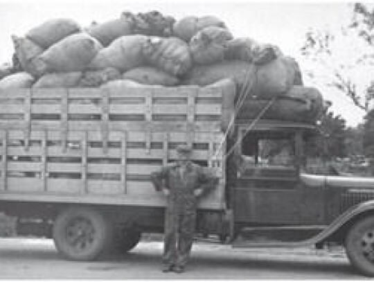 1934 picture of 7,000 pounds of wool being sent to market by the Midwest Association Wool members.