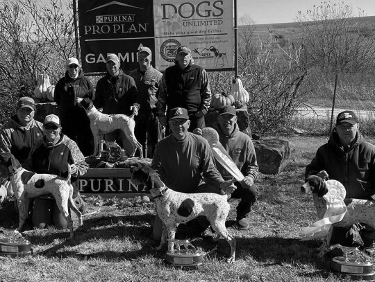 Open Gundog Championship Winners