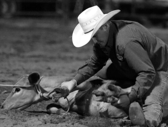 Eureka Pro Rodeo Contestant Competing In Tie-Down Roping Event At 2023 Event